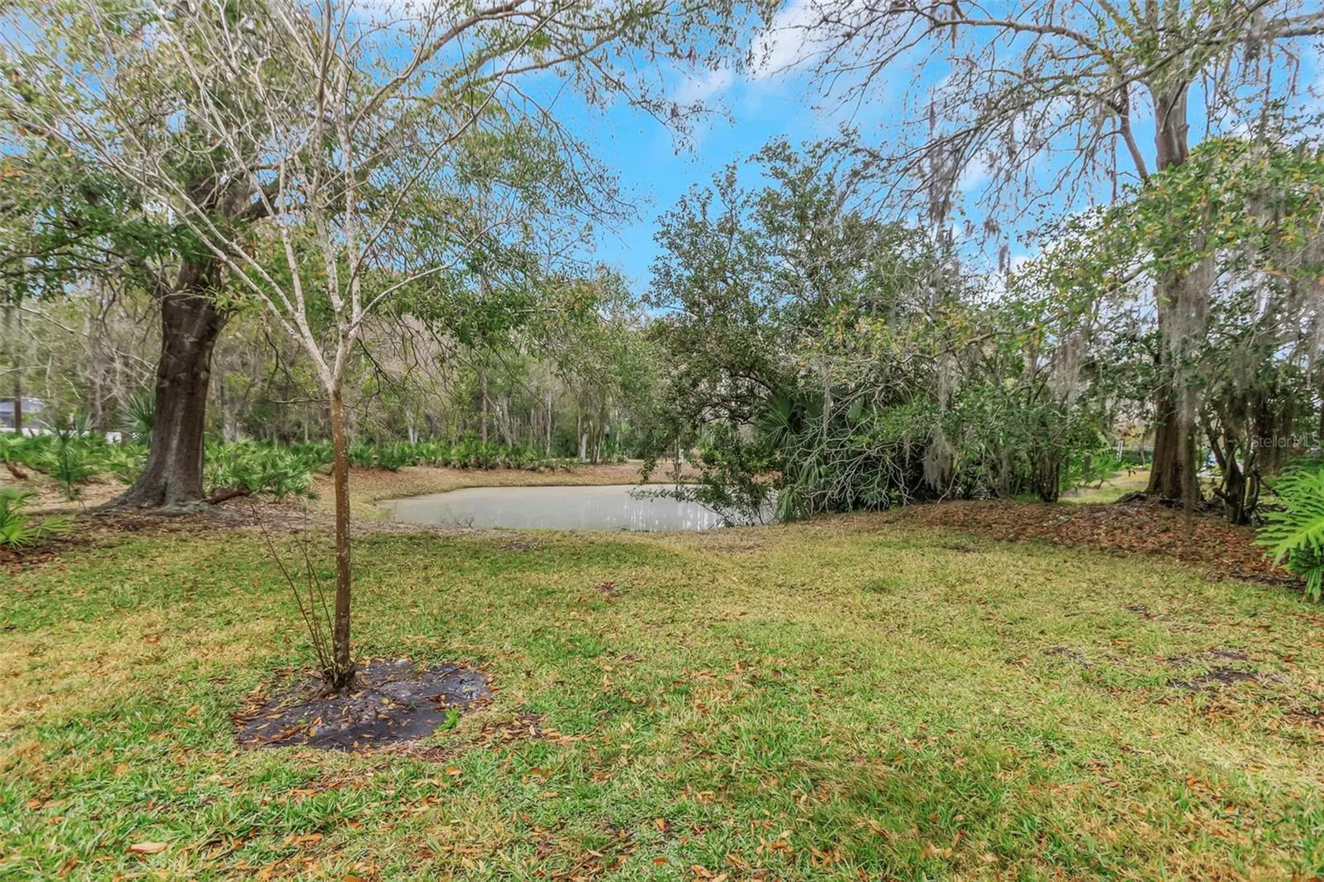 235 Woods Landing Trail Oldsmar FL 34677