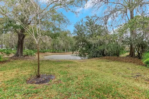 235 Woods Landing Trail Oldsmar FL 34677