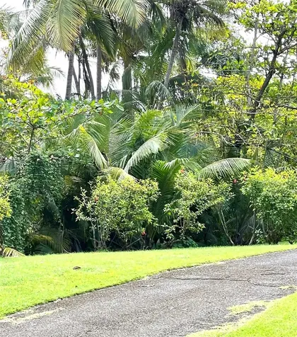 22-01 Cond. Rio Mar Village Rio Grande PR 00745