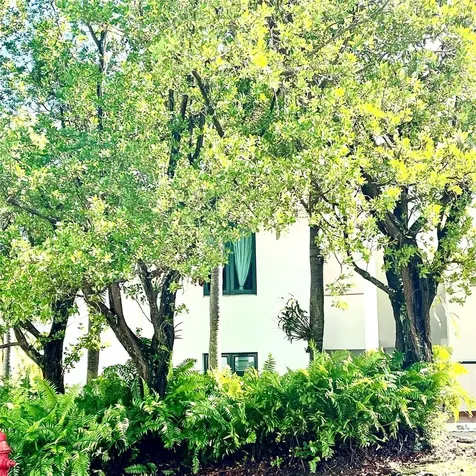 22-01 Cond. Rio Mar Village Rio Grande PR 00745