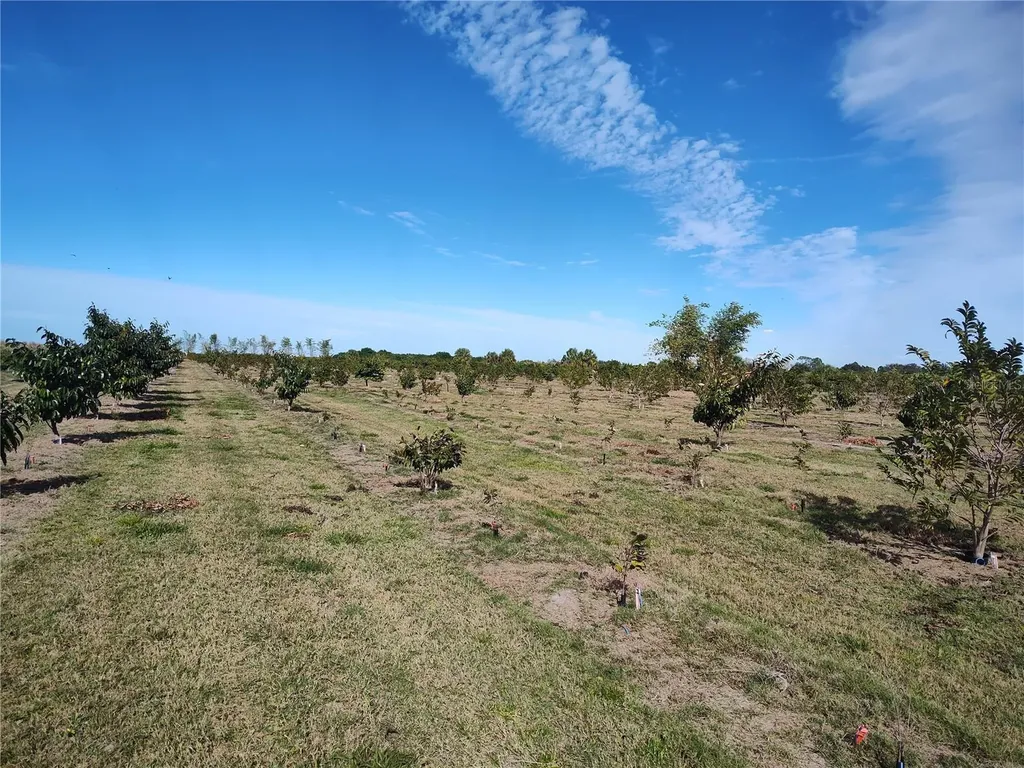 Arcadia FL 34266
