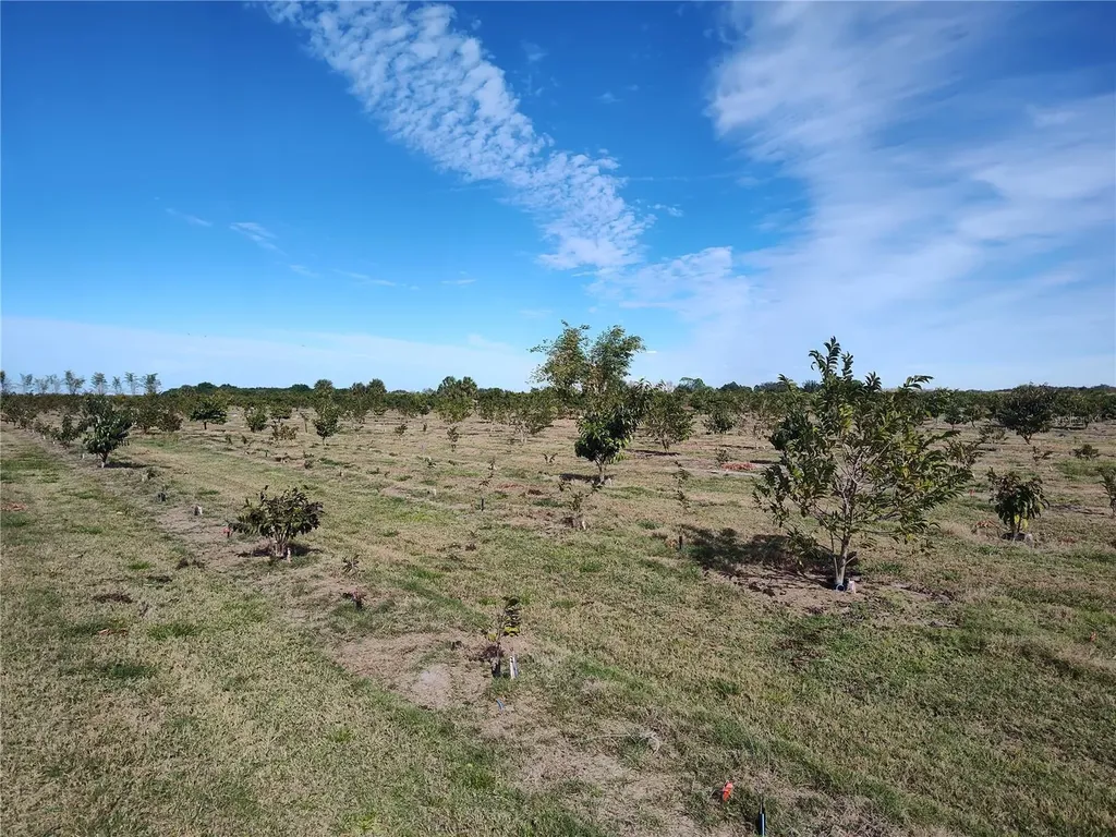 Arcadia FL 34266