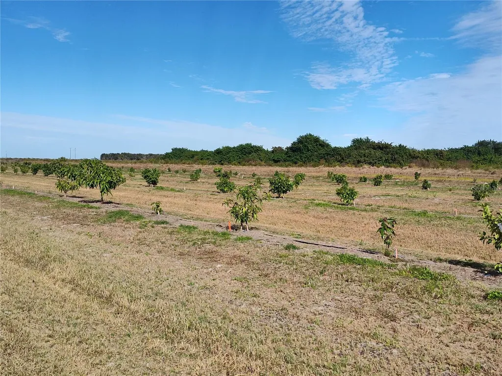 Arcadia FL 34266