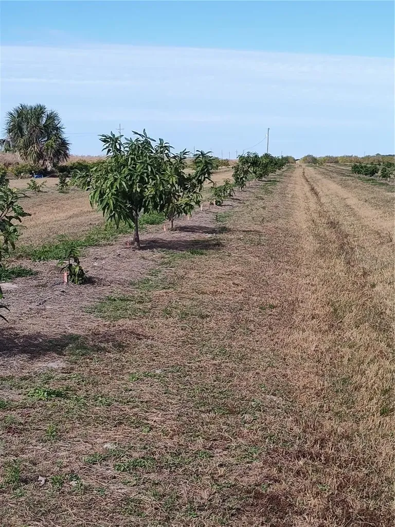 Arcadia FL 34266