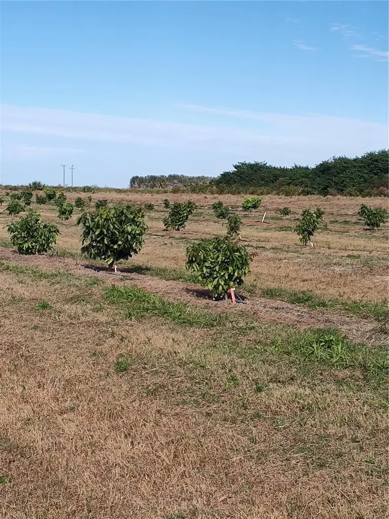Arcadia FL 34266