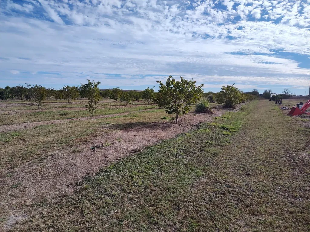 Arcadia FL 34266