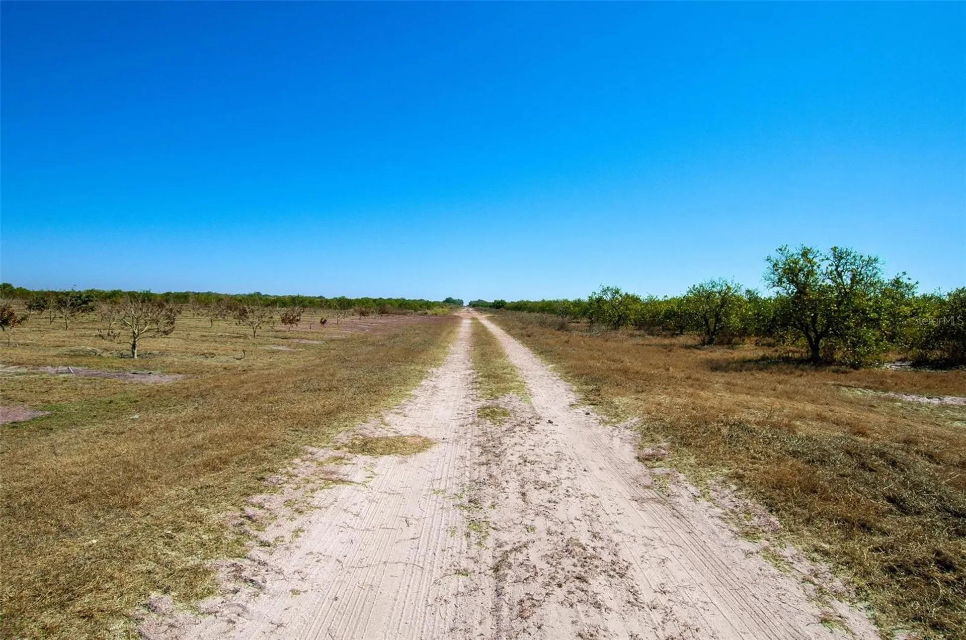 Arcadia FL 34266