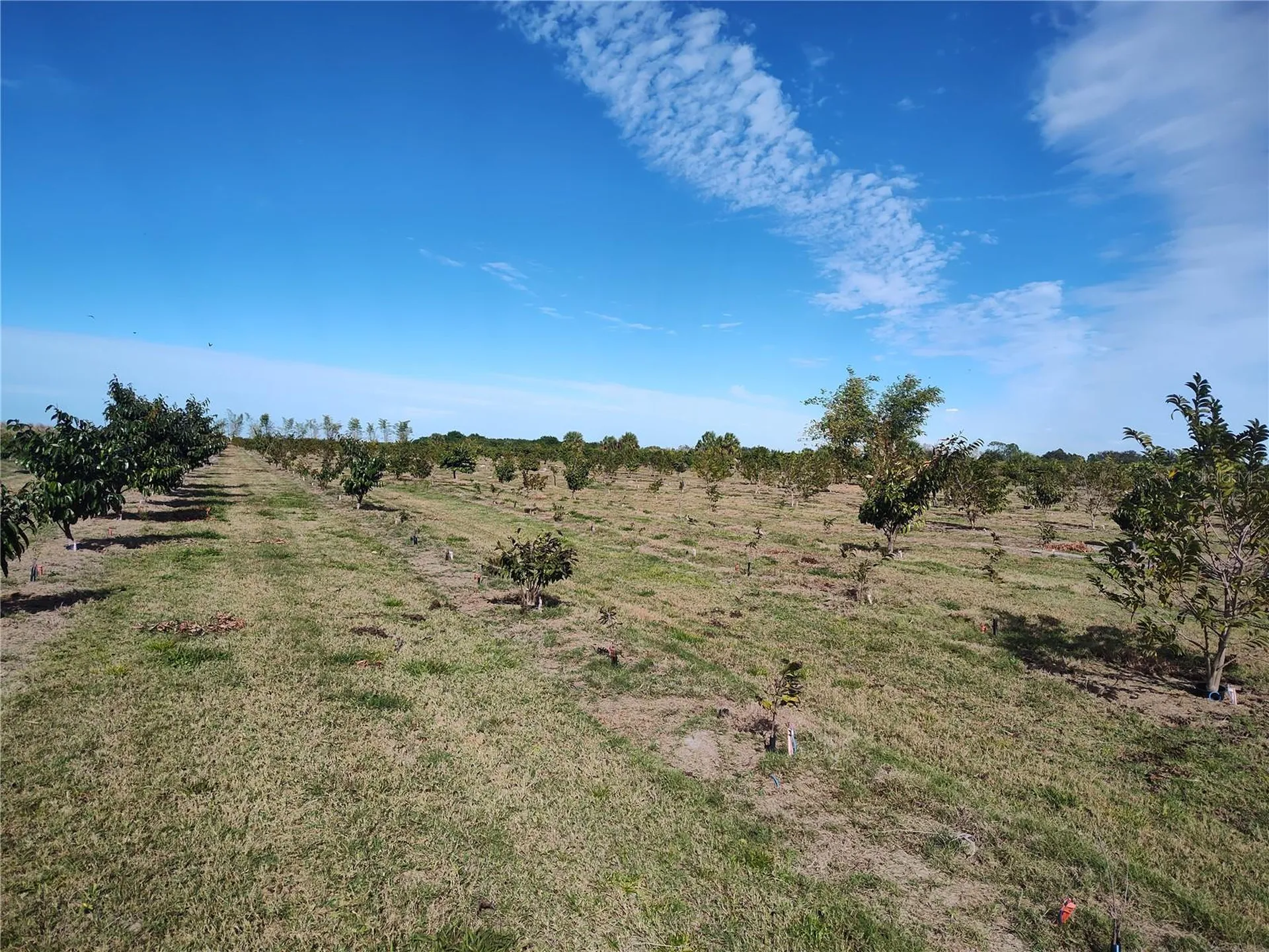 Arcadia FL 34266