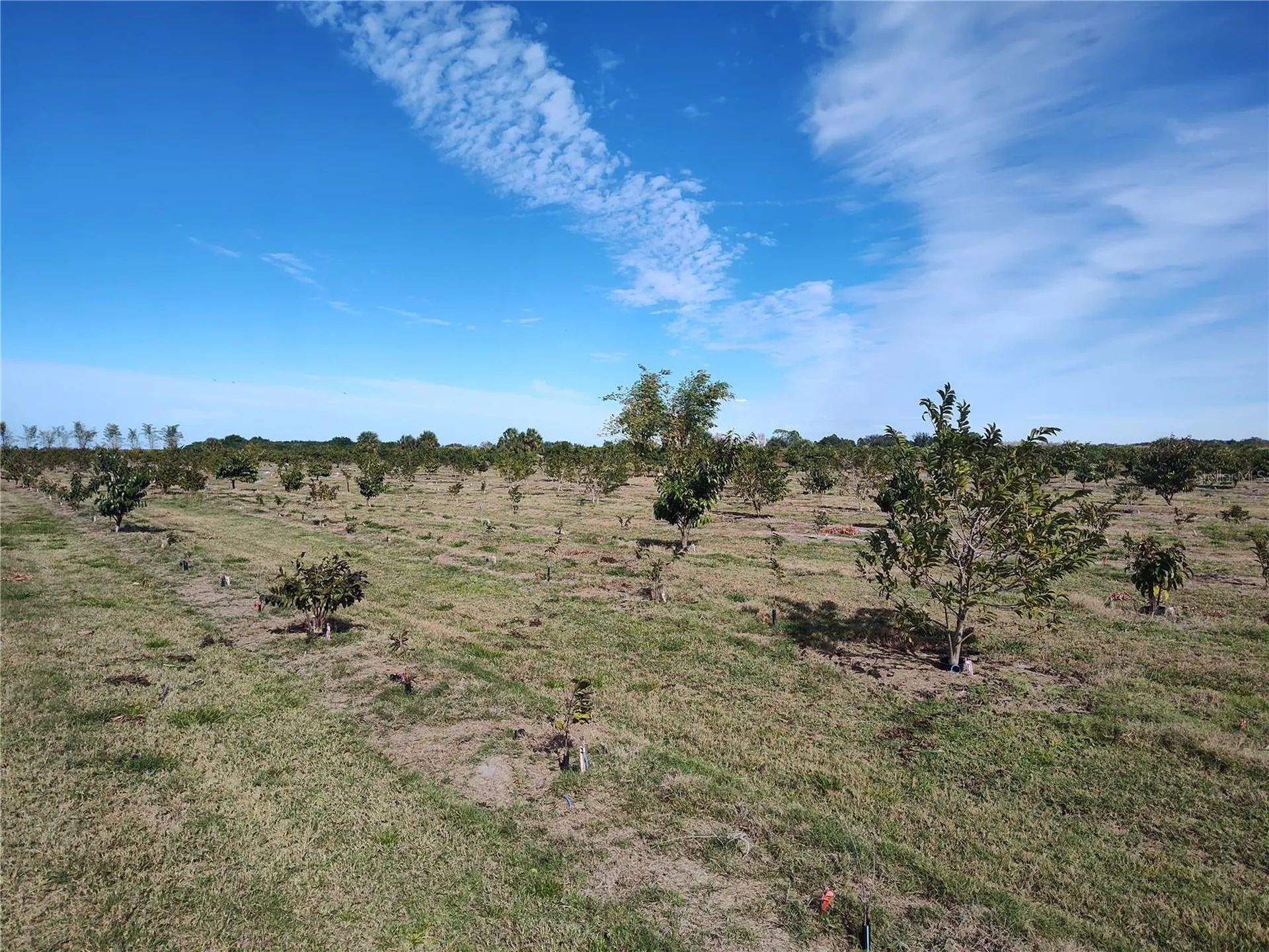 Arcadia FL 34266