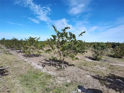 Arcadia FL 34266