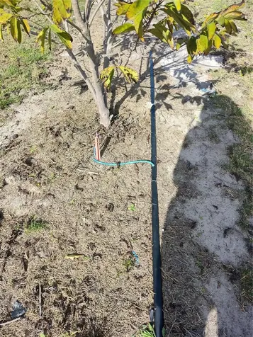 Arcadia FL 34266