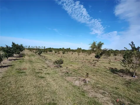 Arcadia FL 34266