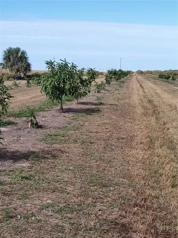 Arcadia FL 34266