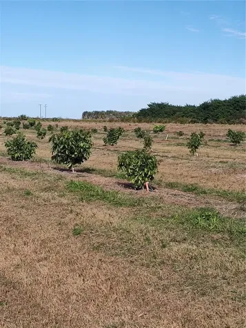 Arcadia FL 34266