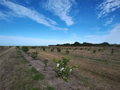 Arcadia FL 34266