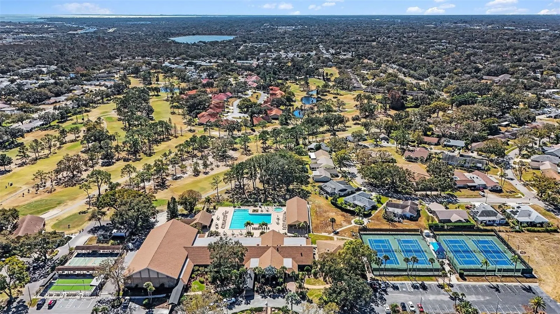 3529 Oak Lake Drive Palm Harbor FL 34684