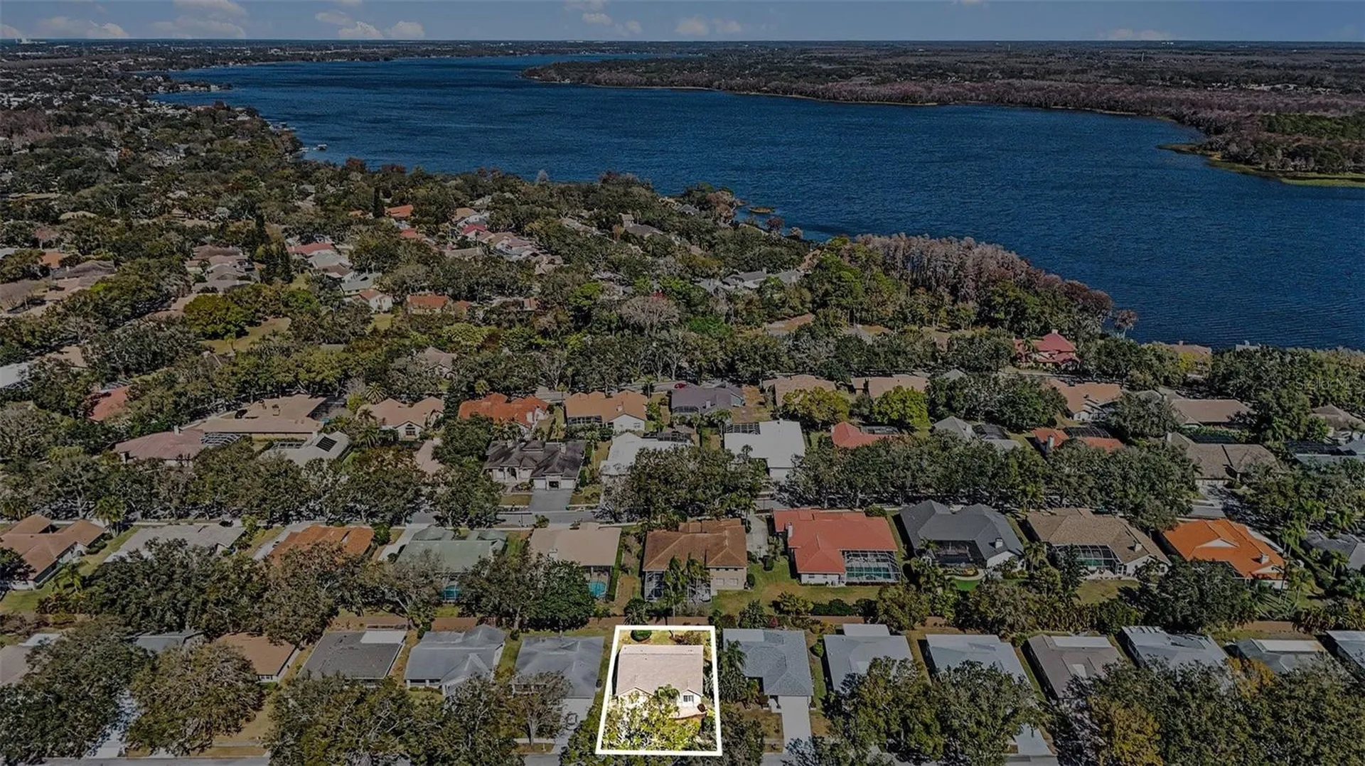 3529 Oak Lake Drive Palm Harbor FL 34684