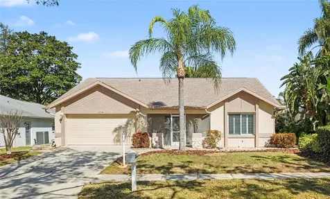 3529 Oak Lake Drive Palm Harbor FL 34684