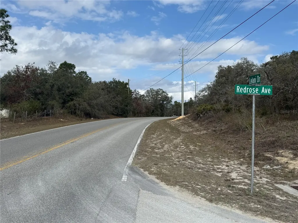 00 Lelani Drive Weeki Wachee FL 34614