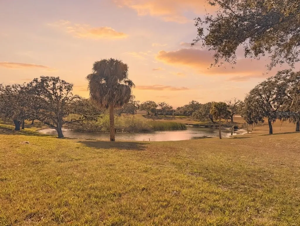 11431 Dollar Lake Drive Port Richey FL 34668