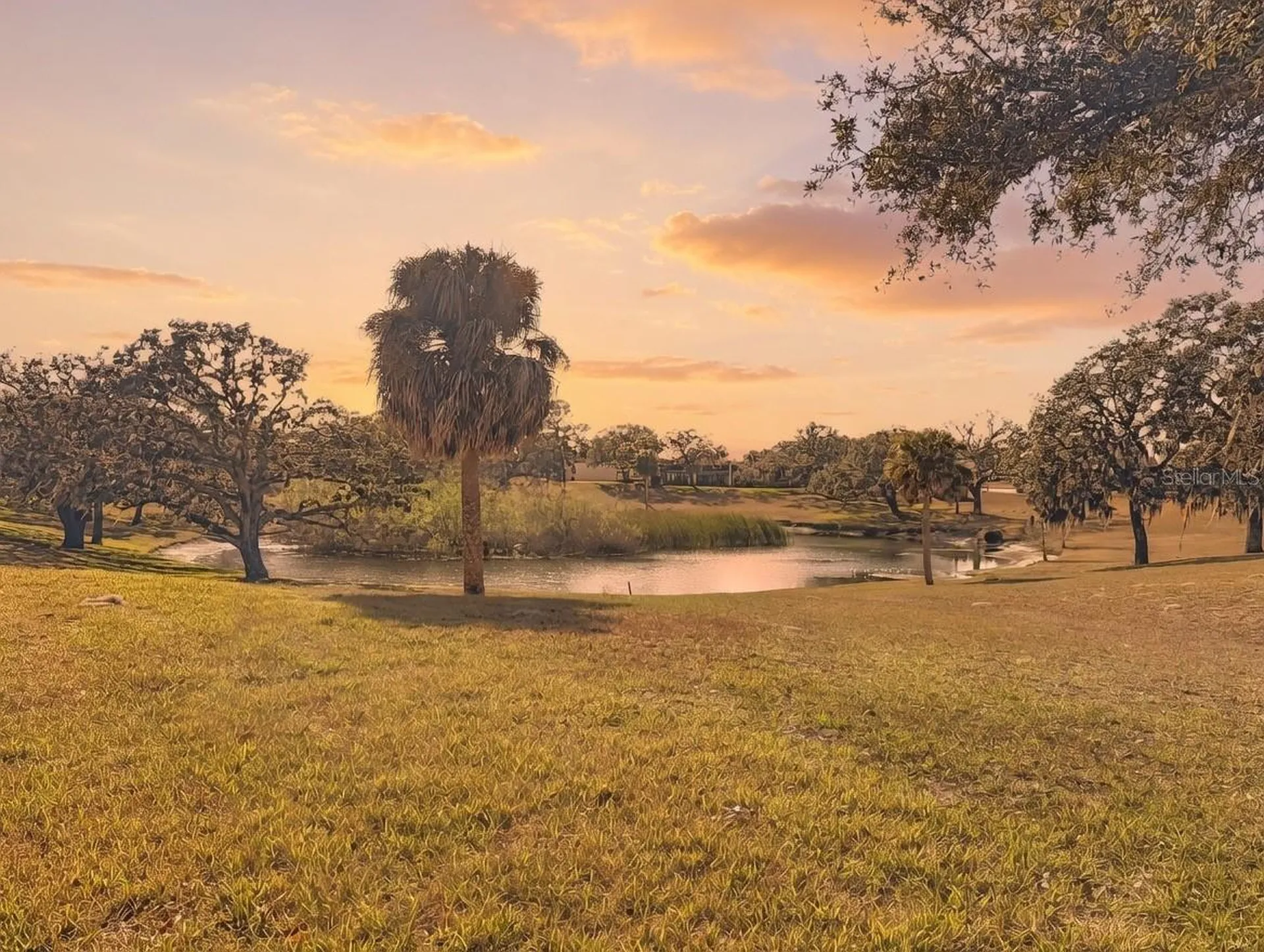 11431 Dollar Lake Drive Port Richey FL 34668