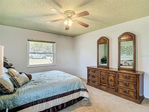 11431 Dollar Lake Drive Port Richey FL 34668
