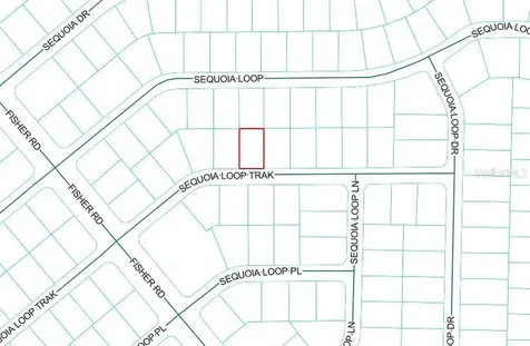 Sequoia Loop Track Ocklawaha FL 32179