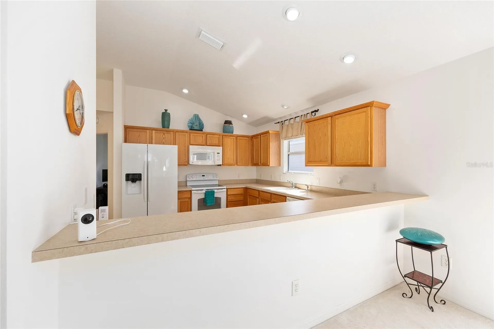 2318 Nehaul Terrace The Villages FL 32162