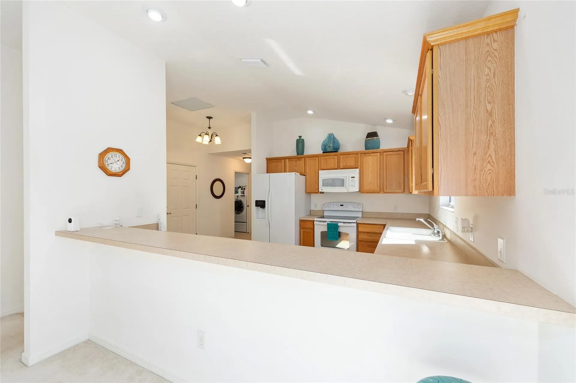 2318 Nehaul Terrace The Villages FL 32162