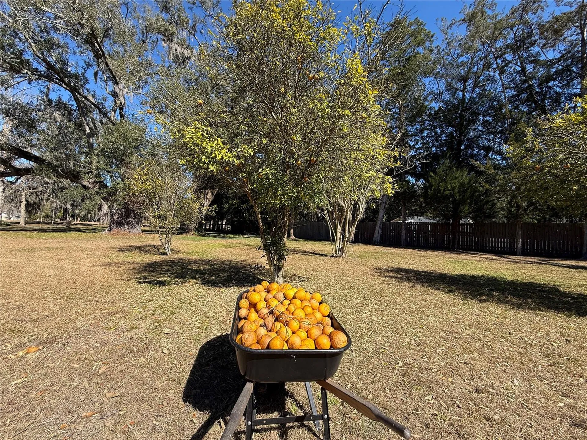 2039 SW State Road 26 Trenton FL 32693
