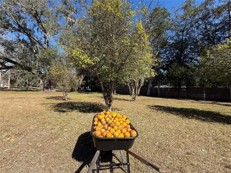 2039 SW State Road 26 Trenton FL 32693