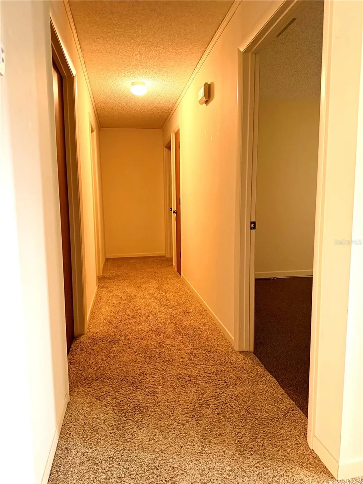 1523 Brangus Drive Lakeland FL 33810