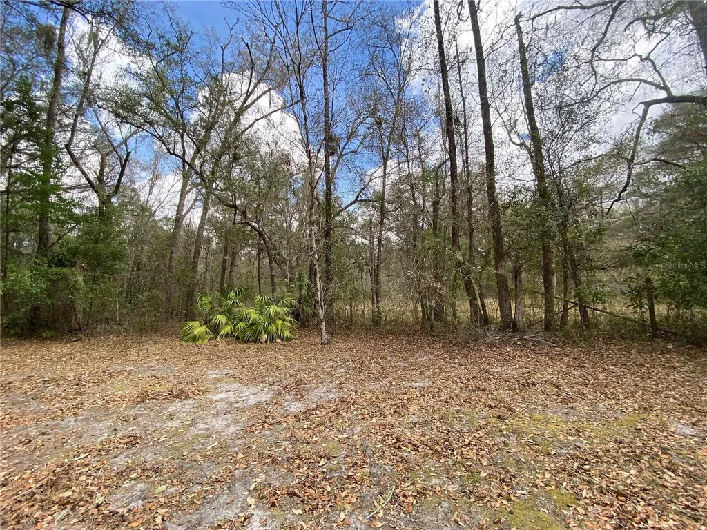 15213 NW 31st Terrace Gainesville FL 32609