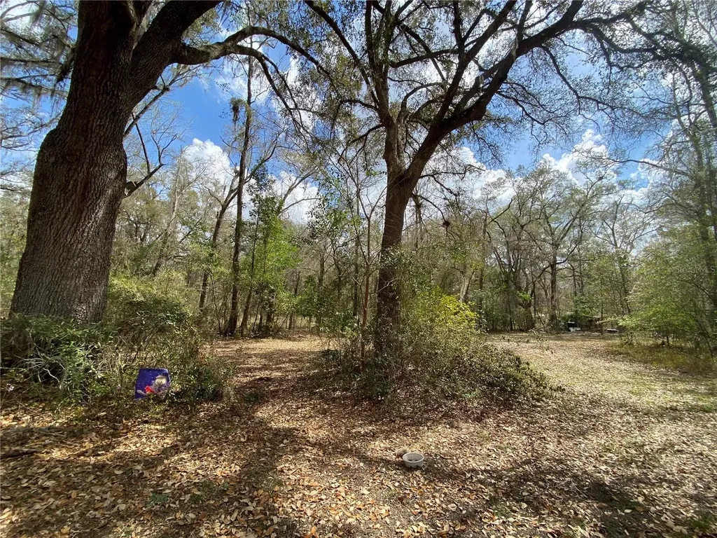 15213 NW 31st Terrace Gainesville FL 32609
