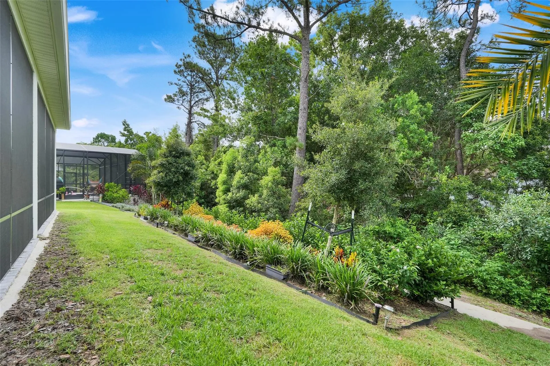 1990 Wallingford Loop Mount Dora FL 32757