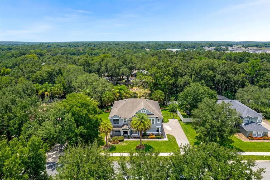 2611 Ponkan Meadow Drive Apopka FL 32712