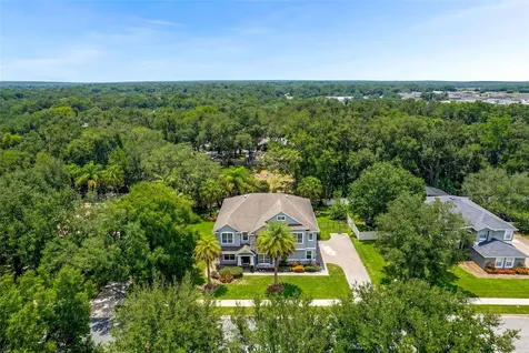 2611 Ponkan Meadow Drive Apopka FL 32712