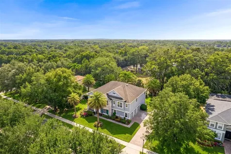 2611 Ponkan Meadow Drive Apopka FL 32712