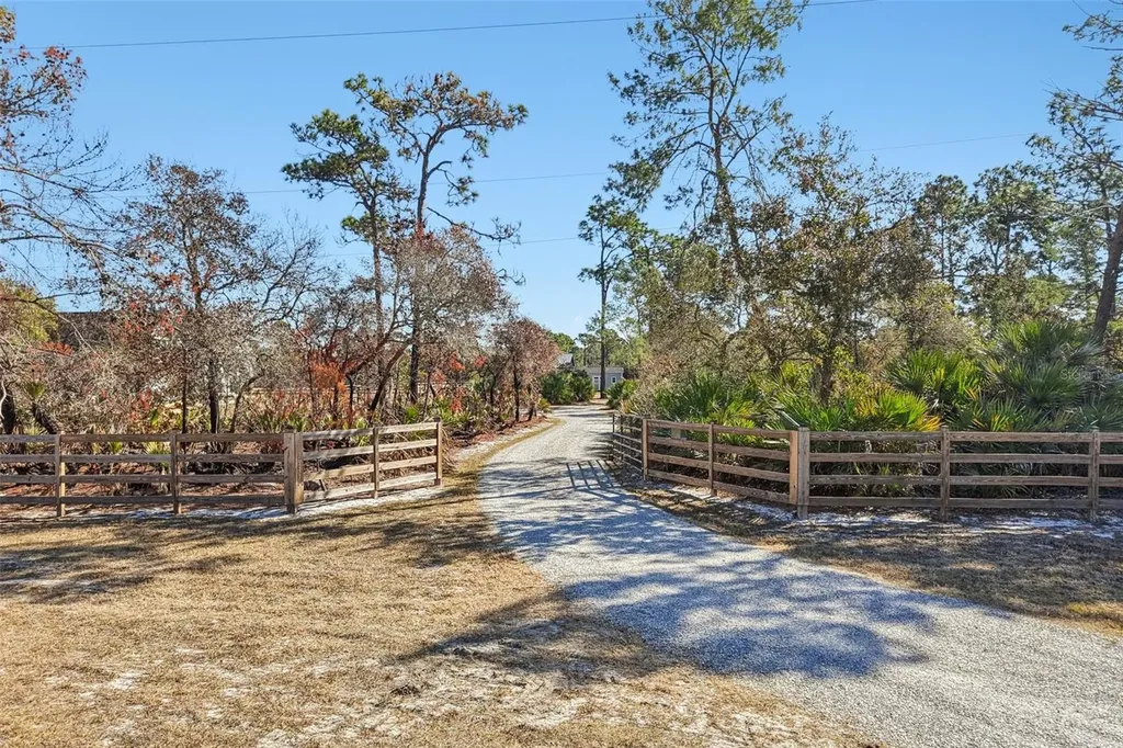 2537 Buck Knife Court Chuluota FL 32766