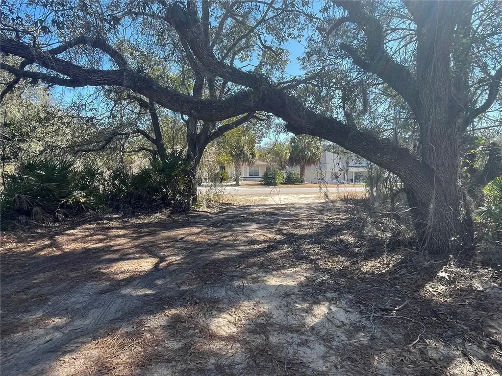 11242 Mirage Avenue Weeki Wachee FL 34614