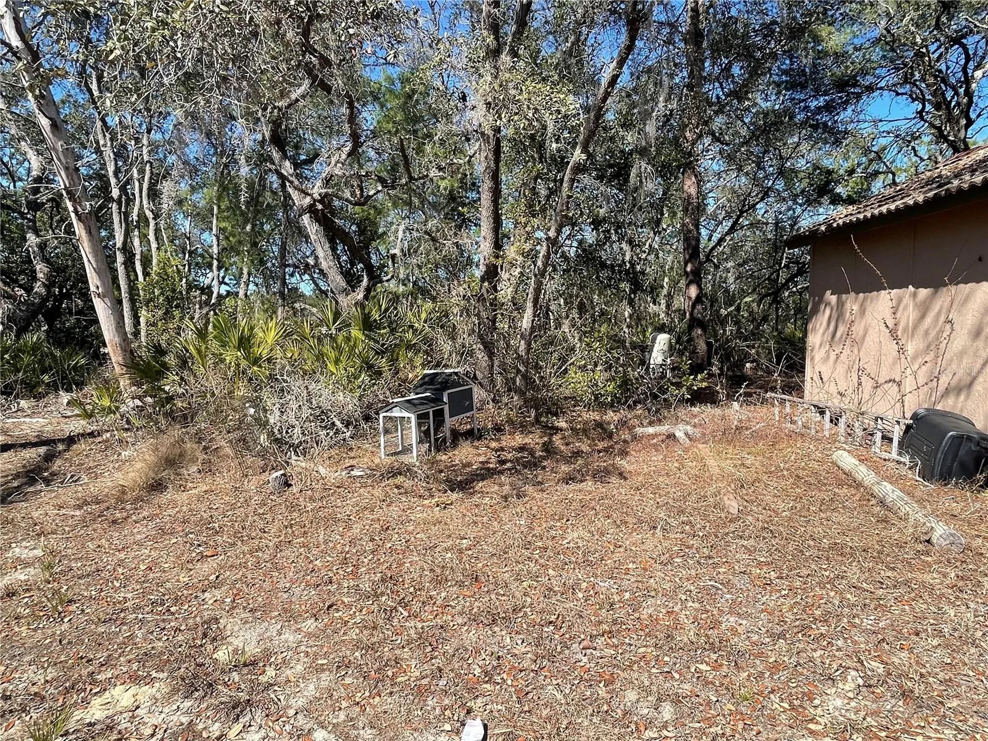 11242 Mirage Avenue Weeki Wachee FL 34614