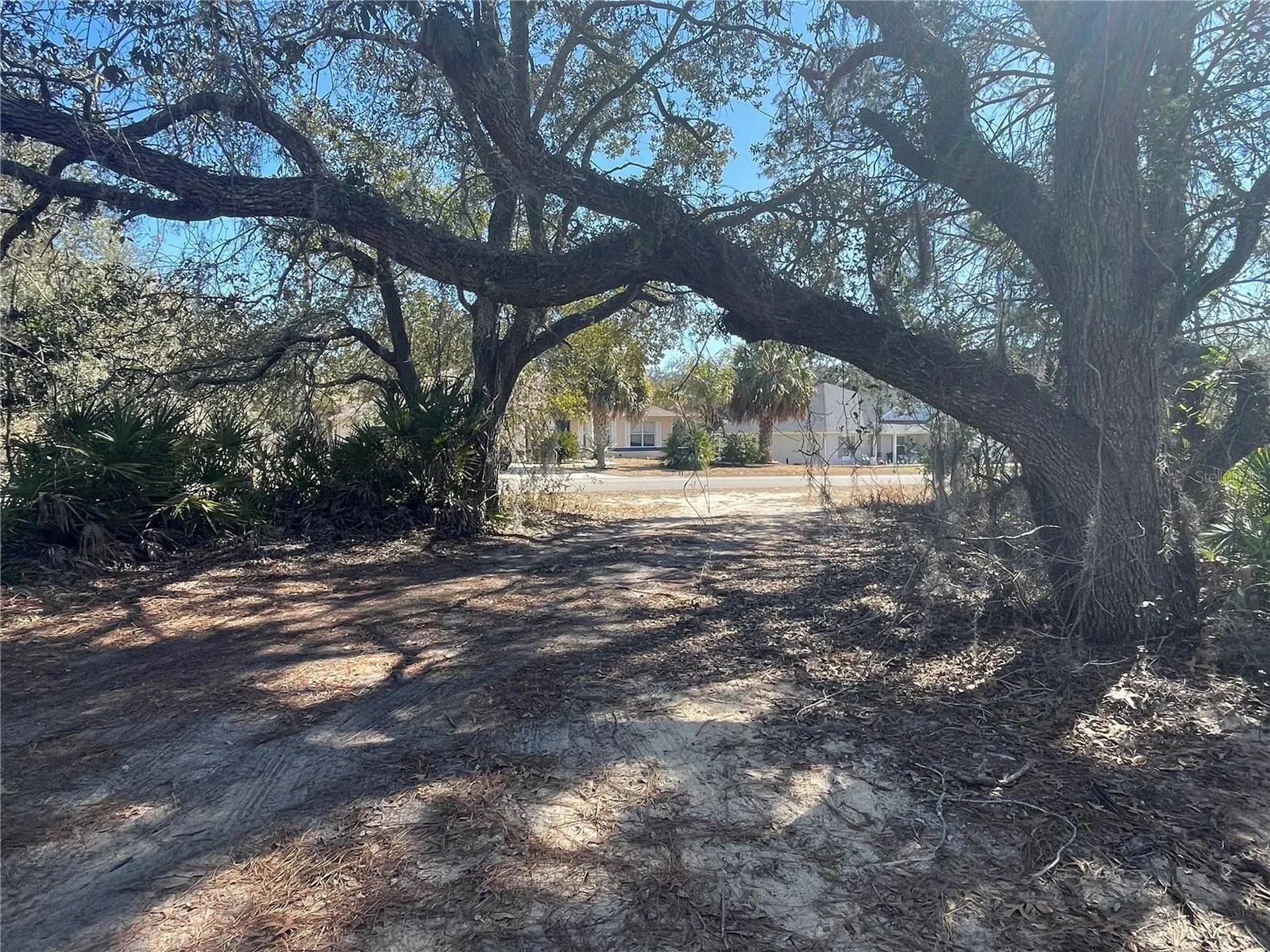 11242 Mirage Avenue Weeki Wachee FL 34614