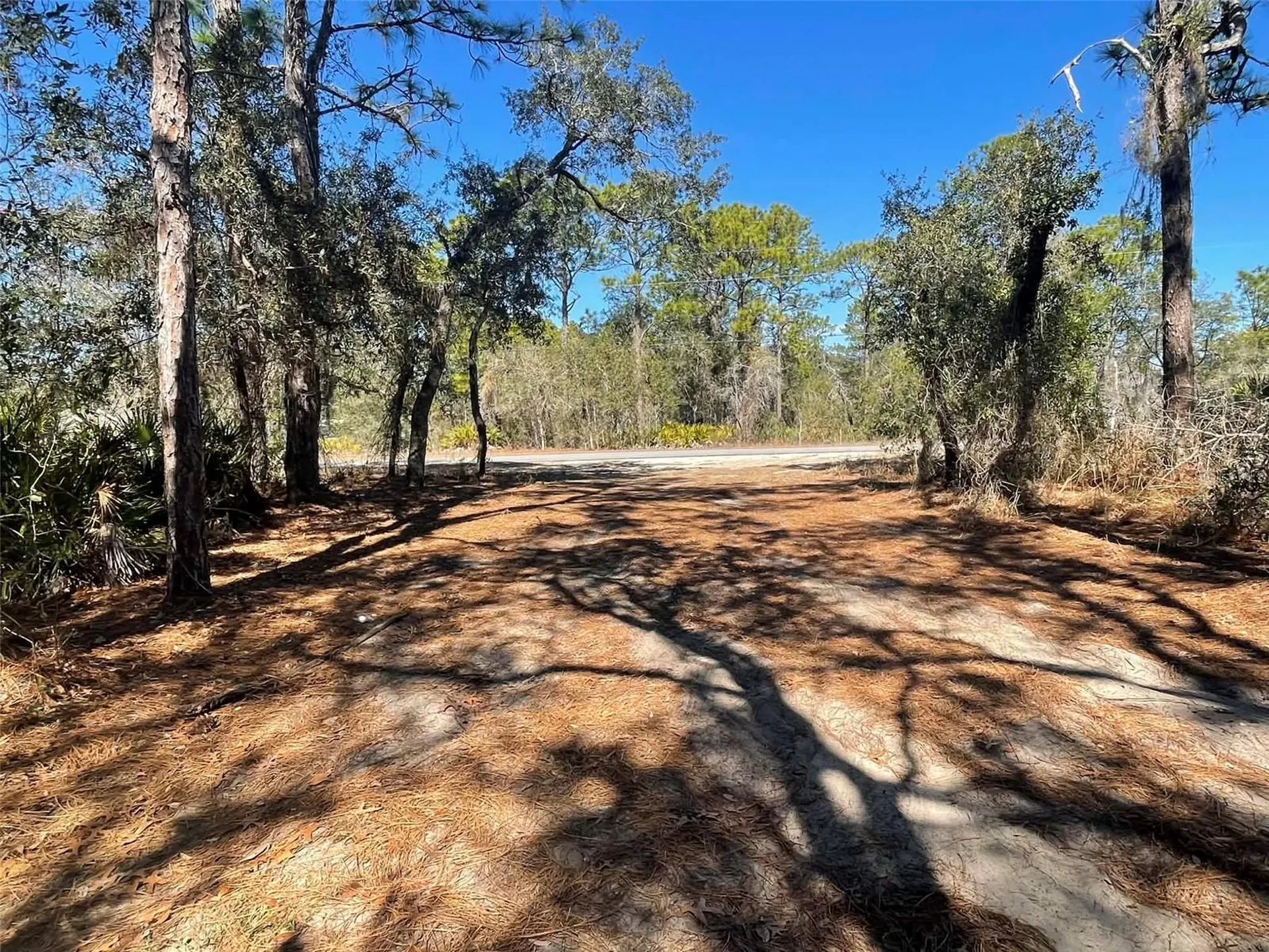 11242 Mirage Avenue Weeki Wachee FL 34614