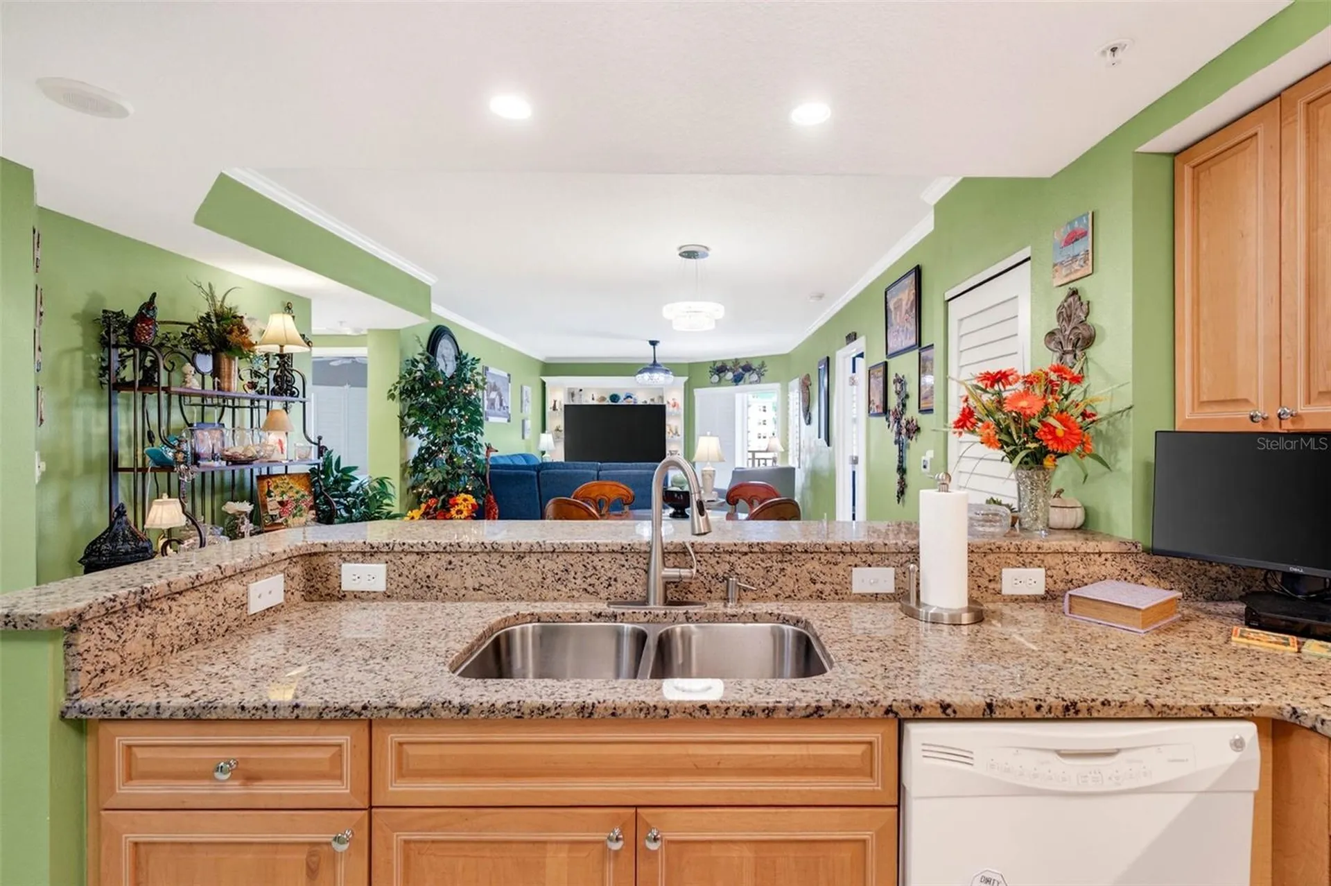 4516 Seagull Drive New Port Richey FL 34652