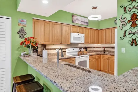 4516 Seagull Drive New Port Richey FL 34652