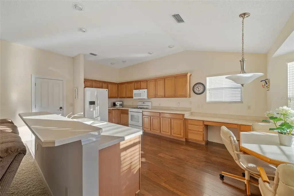 1504 Lynchburg Loop The Villages FL 32162