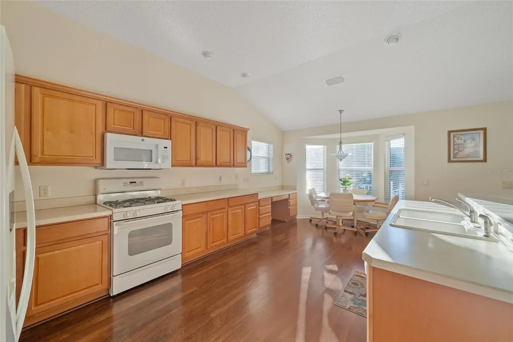 1504 Lynchburg Loop The Villages FL 32162