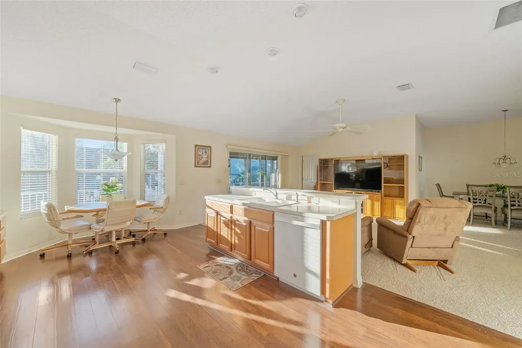 1504 Lynchburg Loop The Villages FL 32162