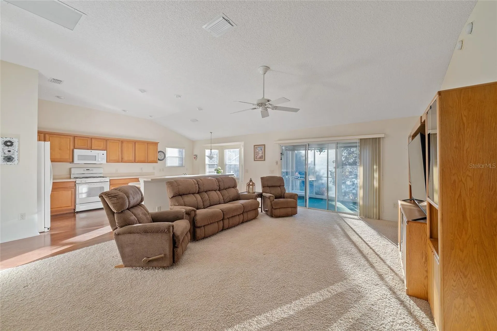 1504 Lynchburg Loop The Villages FL 32162