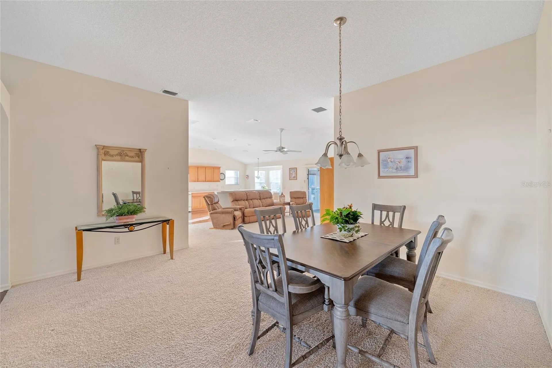 1504 Lynchburg Loop The Villages FL 32162